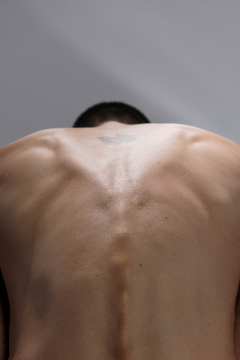 A detailed vertical close-up shot of a muscular male back showcasing a tattoo under soft lighting.